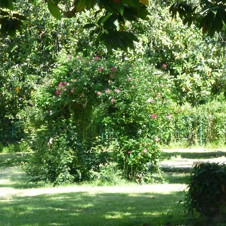 Elegante Maison De Maitre Avec Piscine Et Parc A Vila *